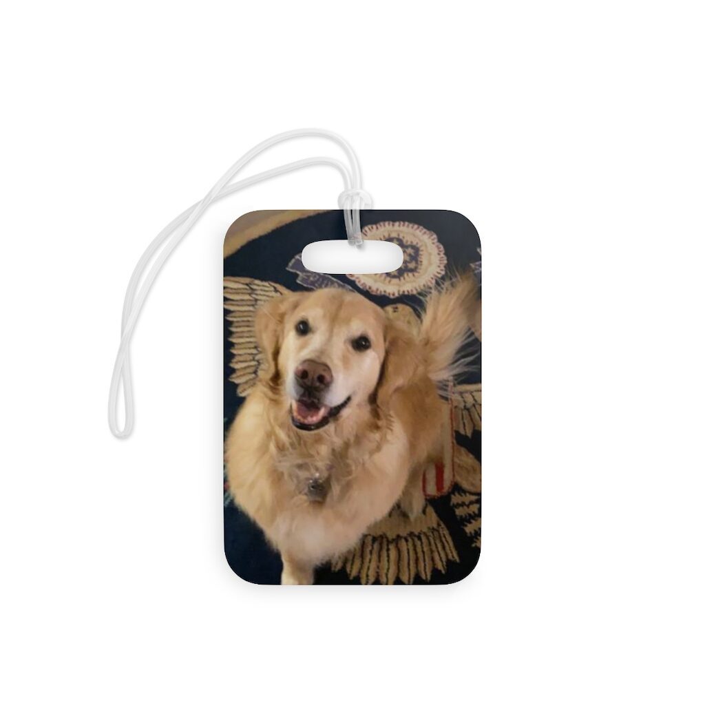 History of Aviation The History of Aviation: Unleashing the Soaring Success of How It Has Evolved Over the Years - 25 Fascinating Moments in the Incredible Evolution of Aviation 8 Custom Pet Luggage Tags