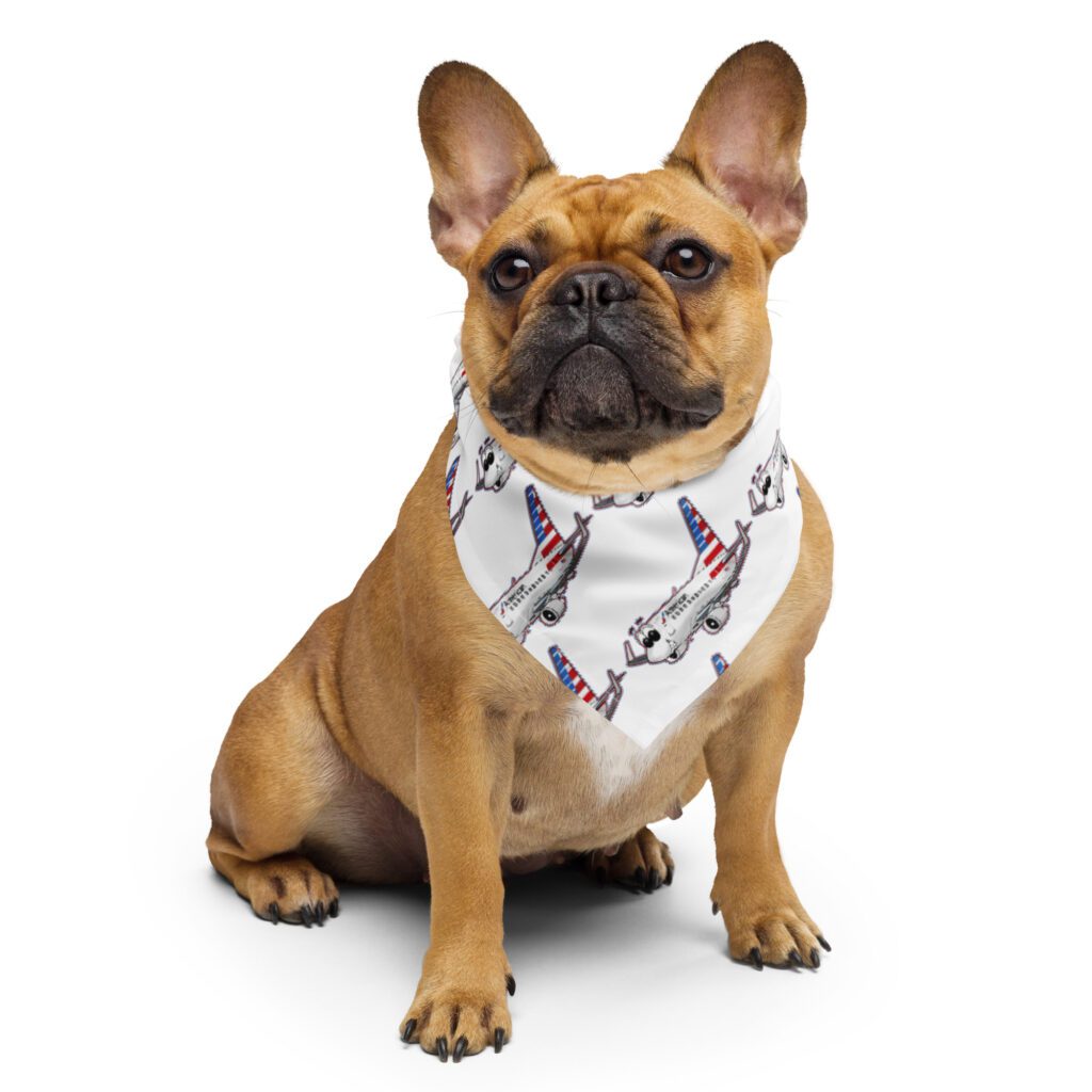 American Airlines 737 Bandana