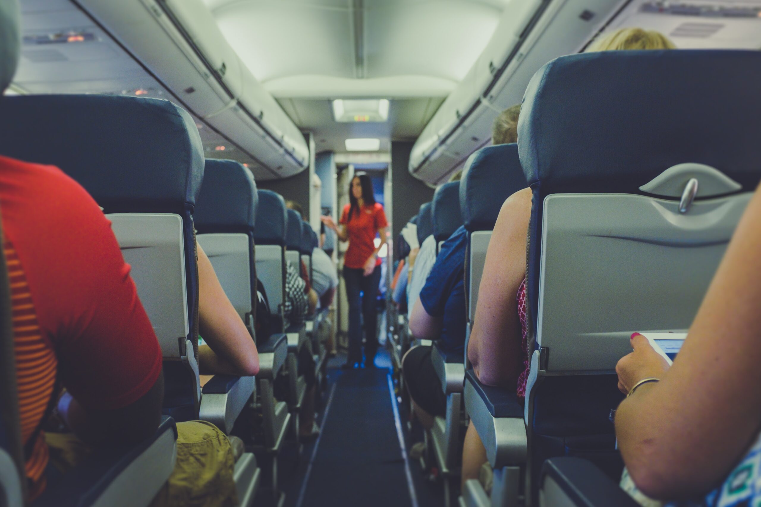 Flight Attendant
