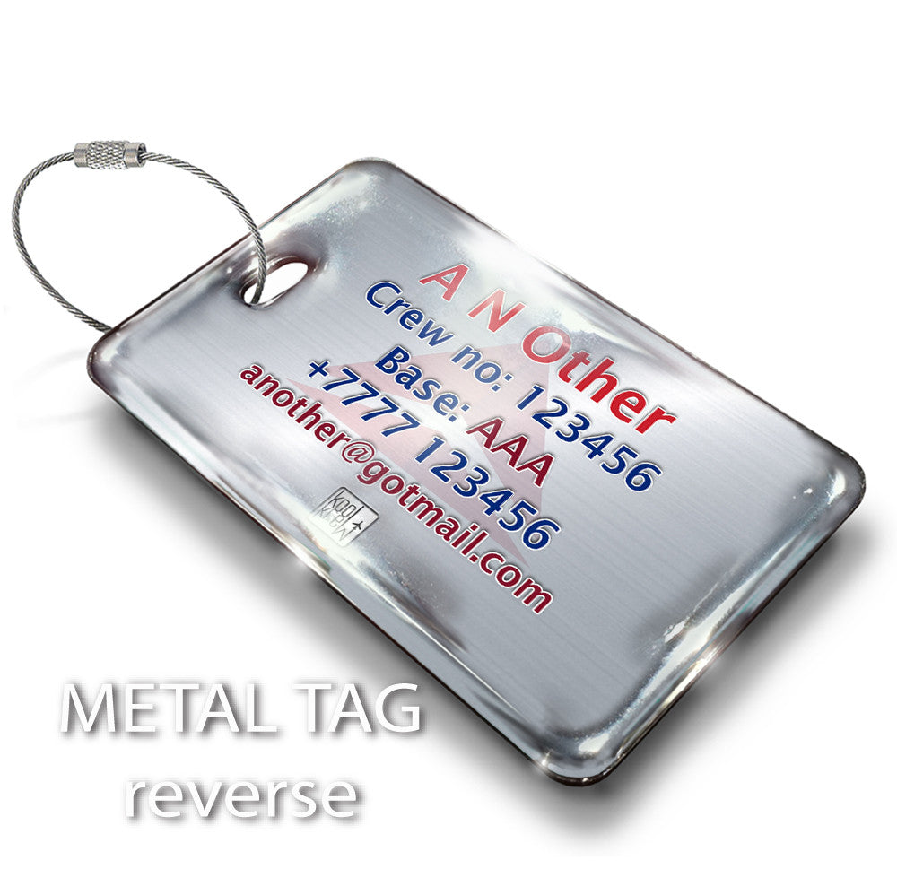 Delta Air Lines Landscape Silver 2 Luggage Tag Delta Air Lines Landscape Silver 2