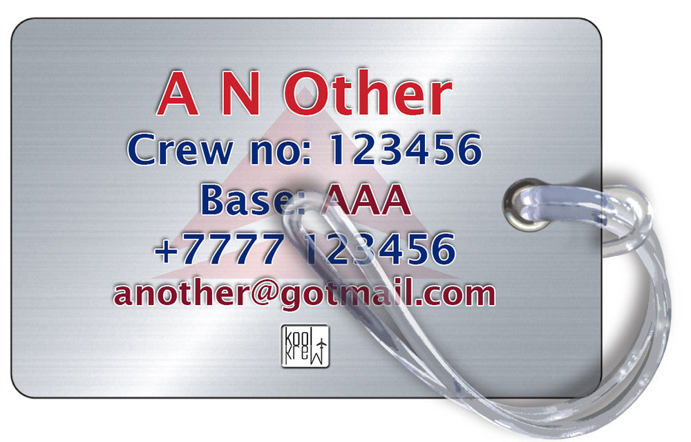 Delta Air Lines Landscape Silver 2 Luggage Tag Delta Air Lines Landscape Silver 2